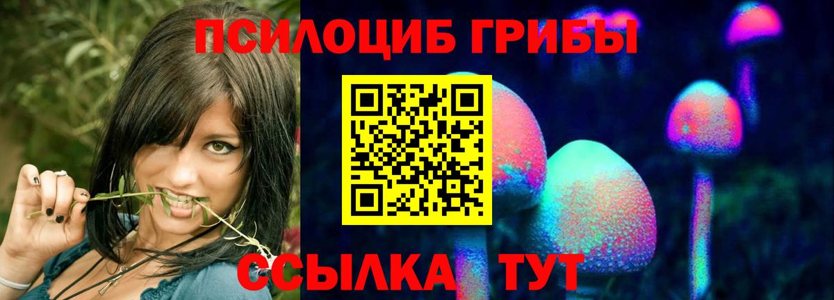 Галлюциногенные грибы GOLDEN TEACHER Нововоронеж