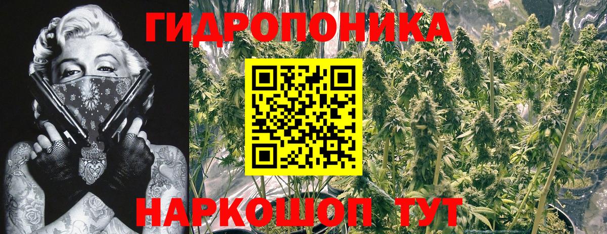 Шишки марихуана семена  Конопля марихуана  МАРИХУАНА ГИДРОПОН  Вход с VPN  Бошки марихуана LSD WEED  Нововоронеж 
